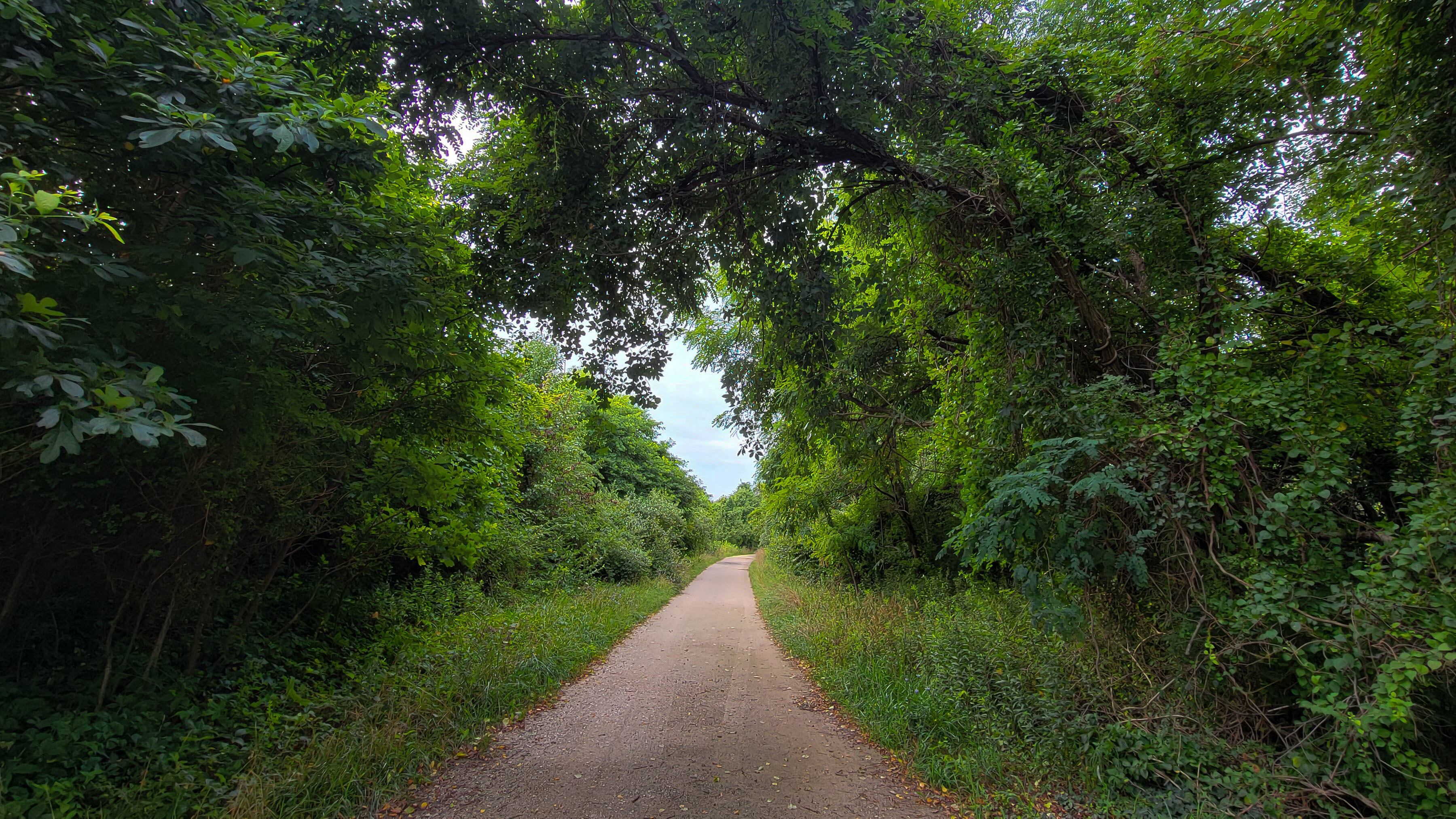 Trail on Greenbury Point